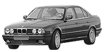 BMW E34 B210F Fault Code